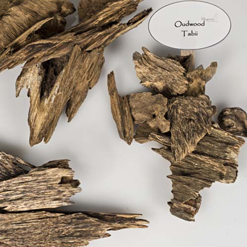 AROMATIC WOODS Indonesia Supplier Essential Oils, Spices, Woods